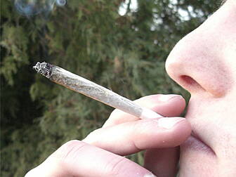 Study shows harmful effect of...